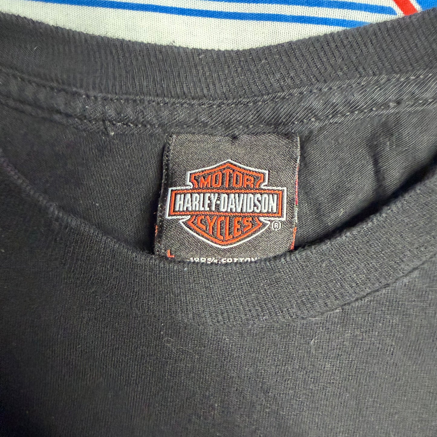 Harley Davidson Black dalton Ga Large